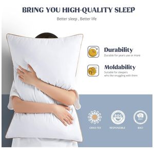 image-79728db7faf7475aa106aa734c897c24 image-79728db7faf7475aa106aa734c897c24