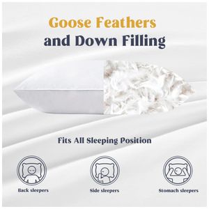 image-83ec38f489854ba5bb13e86d23100a8f image-83ec38f489854ba5bb13e86d23100a8f