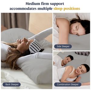 image-4cc1518928f8460f85b97c8cc6aa34c2 image-4cc1518928f8460f85b97c8cc6aa34c2