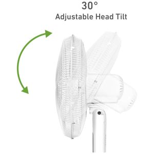 image-2395b2ef812442c288b09d836a80902f image-2395b2ef812442c288b09d836a80902f