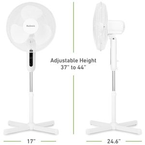 image-e1ac8591e6344d9899e4f1d160739ba9 image-e1ac8591e6344d9899e4f1d160739ba9