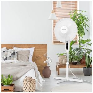 image-5d16cda65fce4af5a9305daa82a76aac image-5d16cda65fce4af5a9305daa82a76aac