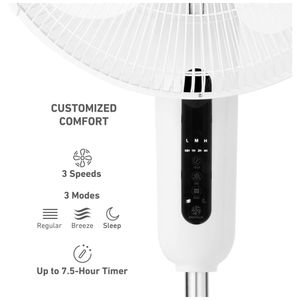 image-0d0e155cfbc94297962d81706c14aebd image-0d0e155cfbc94297962d81706c14aebd