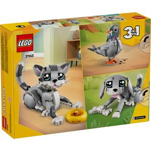 image-c3c4e8d018b74bcbb0da3f893bc5ff1a