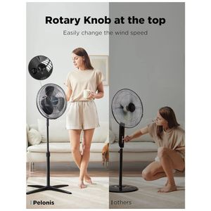 image-ab24d1db9b4349d28679ed42d96ecd81 image-ab24d1db9b4349d28679ed42d96ecd81