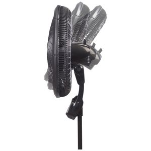 image-c25035511cae41c1ad95ee6fb79df381 image-c25035511cae41c1ad95ee6fb79df381