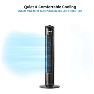 image-04cdf1094d184341bdc48891db70d633 image-04cdf1094d184341bdc48891db70d633