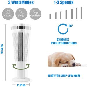 image-1aaa3f84d6f14712b5e716c3ed9f24a2 image-1aaa3f84d6f14712b5e716c3ed9f24a2