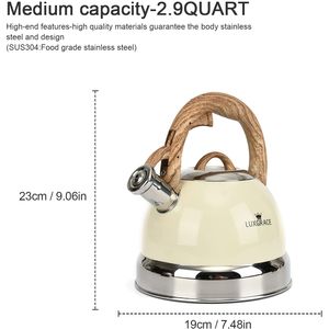 image-081ebbefbba34751b707c75b24a57cd4