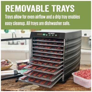 image-1bc83f5b143744e6a4f1125ba525c6a1 image-1bc83f5b143744e6a4f1125ba525c6a1