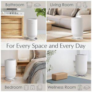 image-d00816af58db4ac8b75b9750f5c5e585 image-d00816af58db4ac8b75b9750f5c5e585