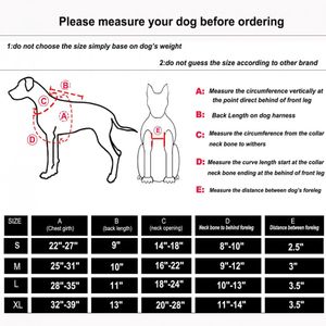 image-be52de3703484cd1985caa8319e37d44 image-be52de3703484cd1985caa8319e37d44