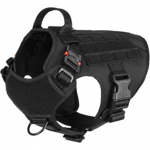 image-7b890a2428524a9f8c63725e8f4722eb image-7b890a2428524a9f8c63725e8f4722eb