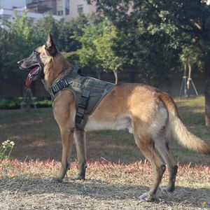 image-38be96c5166b46eba27d31ec062c0807 image-38be96c5166b46eba27d31ec062c0807