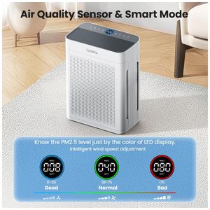 image-f537090ec3a64652b0b1677de9bceeba image-f537090ec3a64652b0b1677de9bceeba