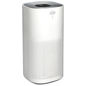 image-07085967b611432cba001f7ffe8047b4