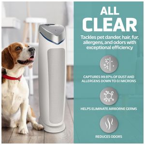 image-7b35d47126024a758b7c474d97ad4d3f image-7b35d47126024a758b7c474d97ad4d3f