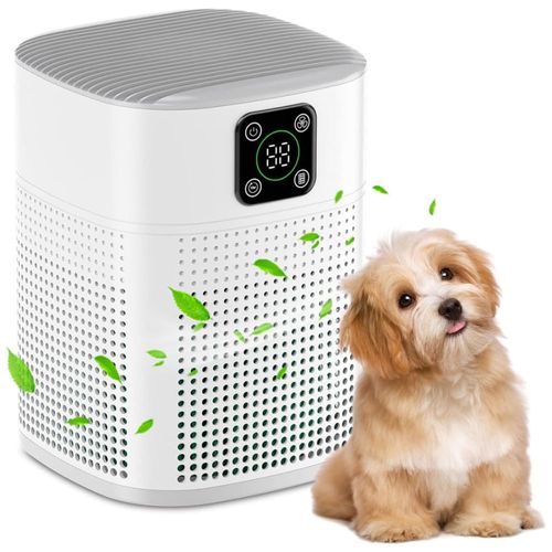 image-9175af9da286494ea211c4f74855d0a7 image-9175af9da286494ea211c4f74855d0a7