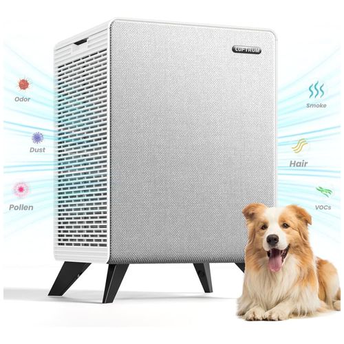 image-cfe15555a7f242ed8044d5df6c2c5457 image-cfe15555a7f242ed8044d5df6c2c5457