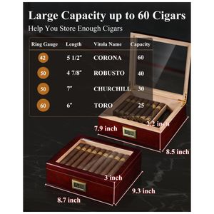 image-beb24f9e2b764919965f56cfd6650a47 image-beb24f9e2b764919965f56cfd6650a47