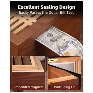 image-2691e3dfdf5044cbb164a976b53697b2 image-2691e3dfdf5044cbb164a976b53697b2