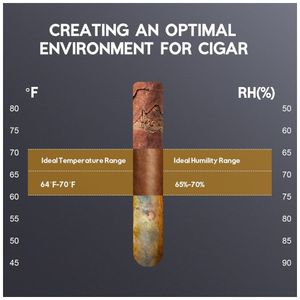 image-7384206ce7774c97ab801ef7cf7fd798 image-7384206ce7774c97ab801ef7cf7fd798