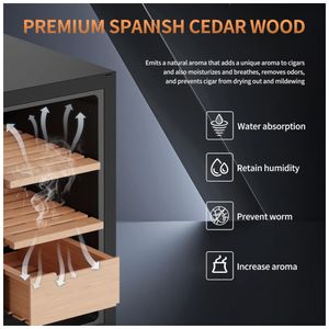 image-9b02534552aa489fbba3683dcbce6029 image-9b02534552aa489fbba3683dcbce6029