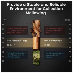 image-2b347d613964412eb08c01401880d92d image-2b347d613964412eb08c01401880d92d