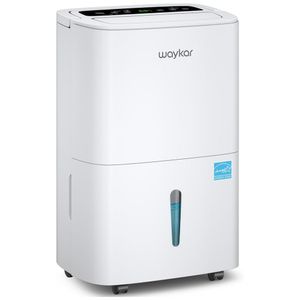 image-6d581185b2244f358fc816ac5941e6fd