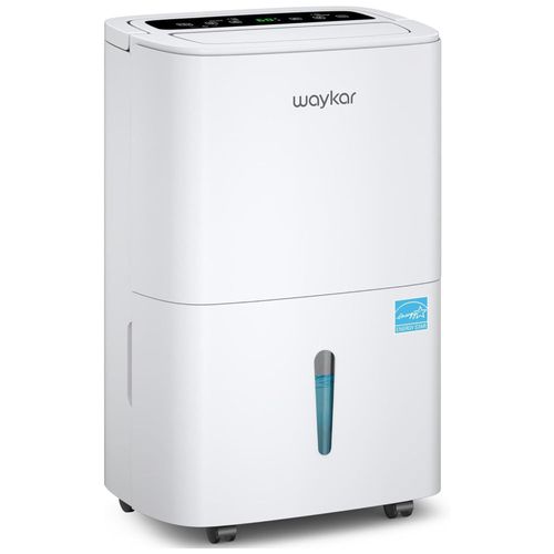 image-6d581185b2244f358fc816ac5941e6fd image-6d581185b2244f358fc816ac5941e6fd