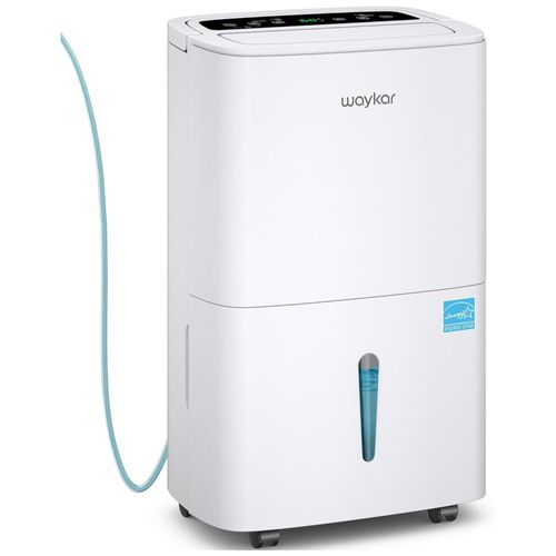 image-a3152a46da054fab90f45210f5ac6f7a image-a3152a46da054fab90f45210f5ac6f7a