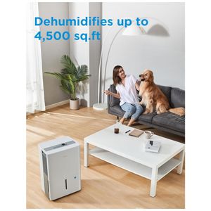 image-3ef5ddcf71c94f83aec22a9c27f23561 image-3ef5ddcf71c94f83aec22a9c27f23561