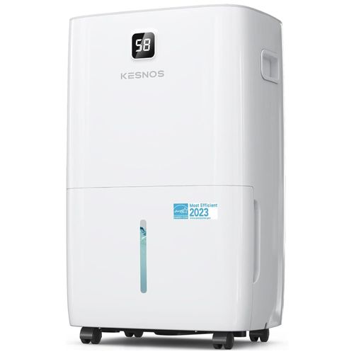 image-4155f47a77e64980afbfd57620d11be5 image-4155f47a77e64980afbfd57620d11be5