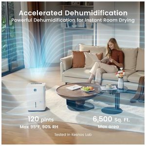 image-75503c4f62c343d791601950a691d3bd image-75503c4f62c343d791601950a691d3bd