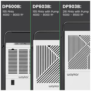 image-5bf29f46ff0848fcb20ec1b9c40f053a image-5bf29f46ff0848fcb20ec1b9c40f053a