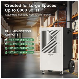 image-2eb6c1364dd34743ad9b418353fb7987 image-2eb6c1364dd34743ad9b418353fb7987