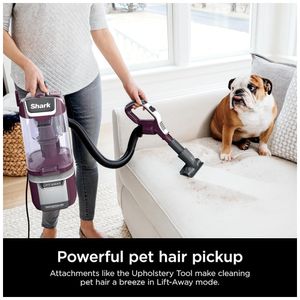 image-c43ec76cdf6f40b1b4a92a7bb1dfc745 image-c43ec76cdf6f40b1b4a92a7bb1dfc745