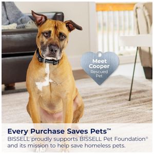 image-118a71269a48433a9845844f439046d2 image-118a71269a48433a9845844f439046d2