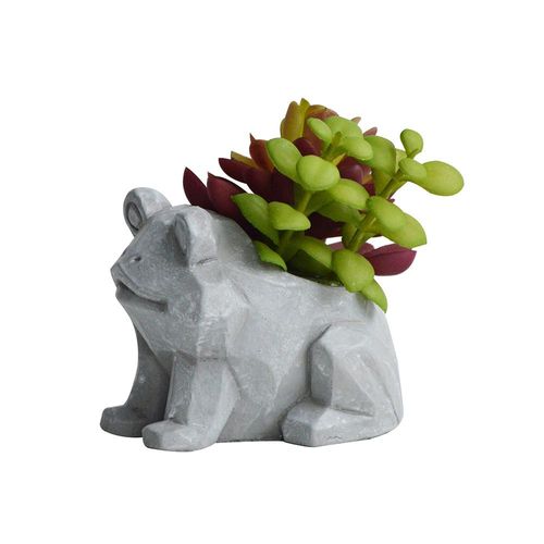 Vaso com suculenta em cimento e plástico L'Hermitage Sapo 10x7,5x8,5cm cinza Vaso com suculenta em cimento e plástico L'Hermitage Sapo 10x7,5x8,5cm cinza