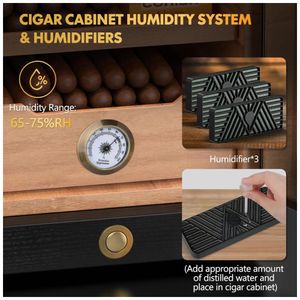 image-690c4d9bac334c408eaae461f72507f7 image-690c4d9bac334c408eaae461f72507f7