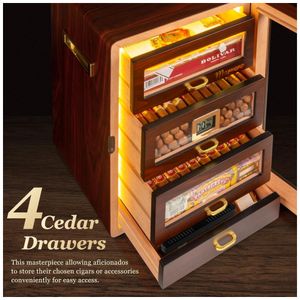 image-c954fe59676c486eab56281012968b03 image-c954fe59676c486eab56281012968b03