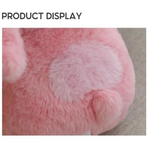 image-8f073b10e2ee45df8824d1e20b2fdf6b