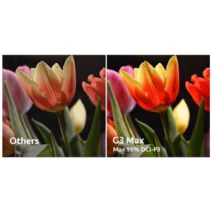 image-5253400c477e46ceae940dc9fce7bfcf