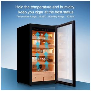 image-08448735e9244ad091a657a86050aa0c image-08448735e9244ad091a657a86050aa0c