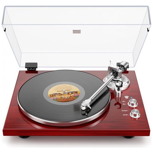 image-d2c790f0f0204eedaf37a45137013358 image-d2c790f0f0204eedaf37a45137013358