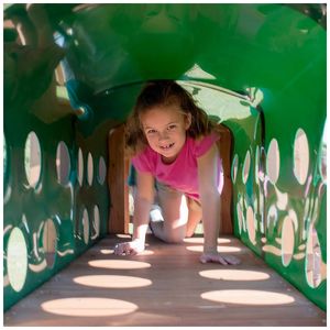 image-cf24ef4aceae4d16a355f31ded8e52f1