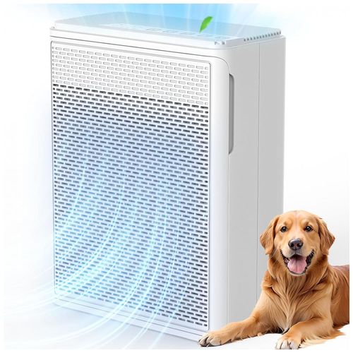 image-04012c57b1044af98ba85cd59a0a148f image-04012c57b1044af98ba85cd59a0a148f