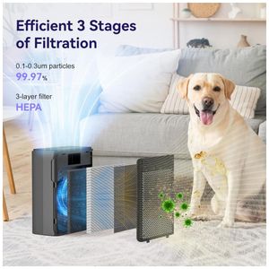 image-6d559ad9e6bb4698b2fb221167885ef0 image-6d559ad9e6bb4698b2fb221167885ef0