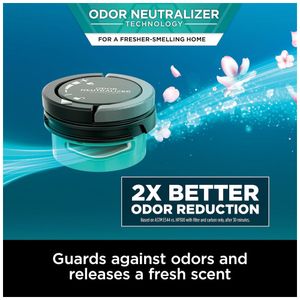 image-796c9b2c983b4bbc84946d9af179dffb image-796c9b2c983b4bbc84946d9af179dffb