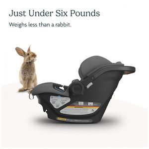 image-f2bebc79dbe444aa90cd1fd4998c2797